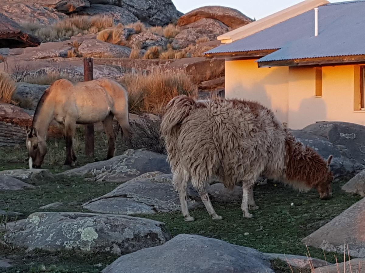 La Posta Hotel Y Refugio De Montana Mina Clavero Exterior foto